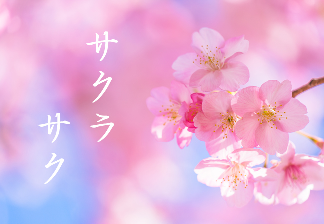 春休みから始めよう！2023年版福島県の新中学3年生のための受験勉強法